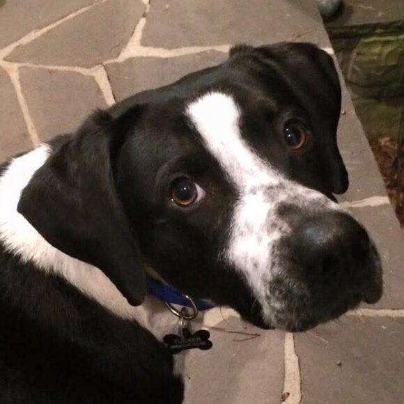 Meet your Posher, Joan - Picture 15 of 15